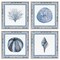 Stupell Industries Coastal Teal Bordered Coral 4pc Framed Giclee Set, design by Lanie Loreth